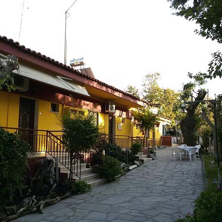 Villa Maria Apartments Polychrono Exterior foto